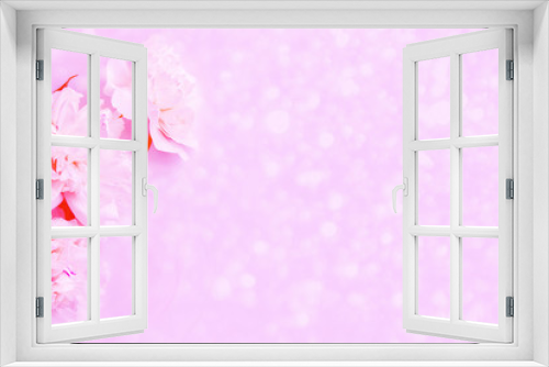 Fototapeta Naklejka Na Ścianę Okno 3D - Colorful bright flower peony