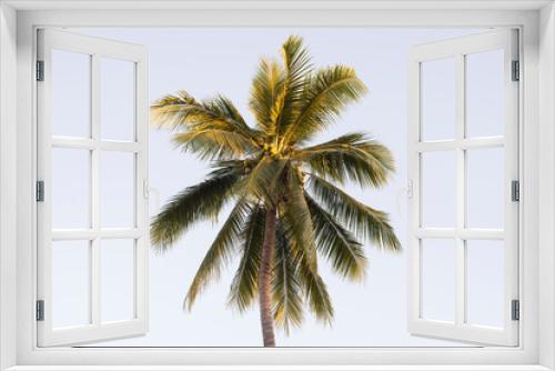 Fototapeta Naklejka Na Ścianę Okno 3D - coconut tree on background