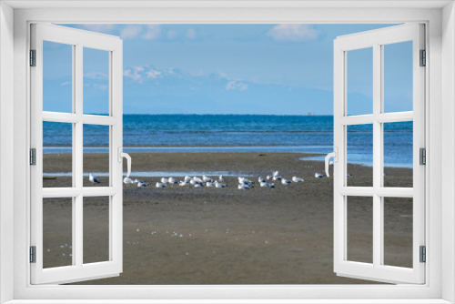 Fototapeta Naklejka Na Ścianę Okno 3D - flock of seagulls resting on the sandy shore line on a sunny day with mountains and oceans on the background