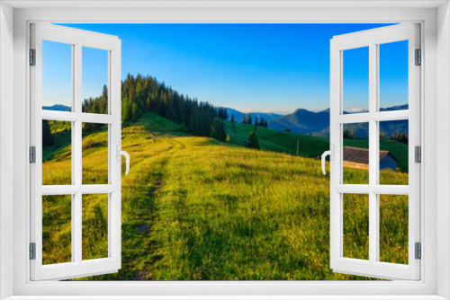 Fototapeta Naklejka Na Ścianę Okno 3D - Amazing nature landscape, serenity of a summer morning in Carpathians. Green mountainside with a road, herbs and blue sky. Outdoor travel background