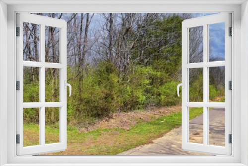 Fototapeta Naklejka Na Ścianę Okno 3D - Views of Nature and Pathways along the Shelby Bottoms Greenway and Natural Area Cumberland River frontage trails, bottomland hardwood forests, open fields, wetlands, and streams, Nashville, Tennessee.