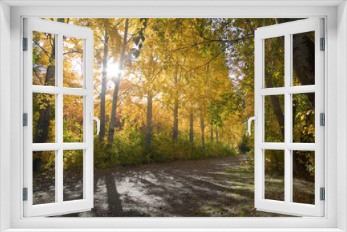 Fototapeta Naklejka Na Ścianę Okno 3D - Autumn park