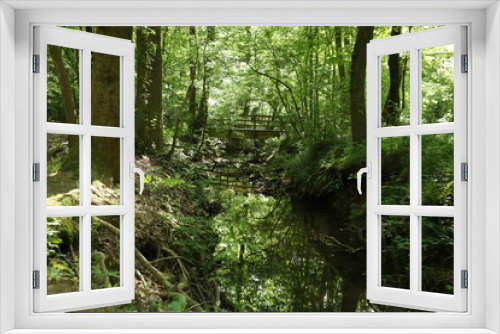 Fototapeta Naklejka Na Ścianę Okno 3D - Green Woods Park