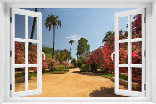 Fototapeta Naklejka Na Ścianę Okno 3D - Summer public gardens in Seville blooming