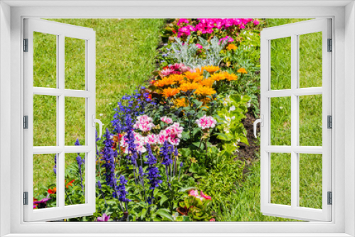 Fototapeta Naklejka Na Ścianę Okno 3D - Bunte Blumenvielfalt Beet Blumenbeet