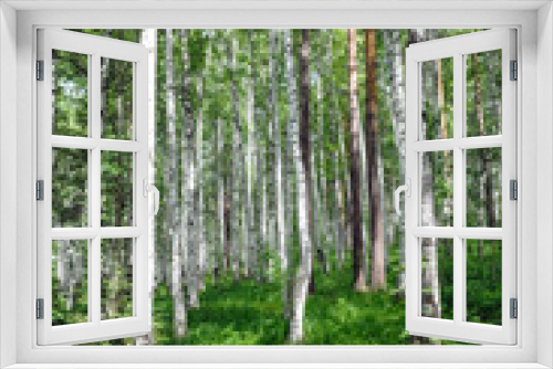 Fototapeta Naklejka Na Ścianę Okno 3D - green birch grove forest at summer time