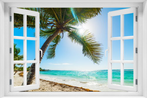 Fototapeta Naklejka Na Ścianę Okno 3D - Palm trees in Raisins Clairs beach in Guadeloupe