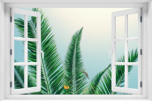Fototapeta Naklejka Na Ścianę Okno 3D - Tropical palm tree on sky background