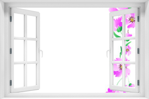 Fototapeta Naklejka Na Ścianę Okno 3D - beautiful flowers