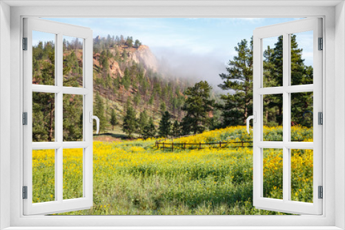 Fototapeta Naklejka Na Ścianę Okno 3D - Landscape Scenes from the Colorado Rocky Mountains.