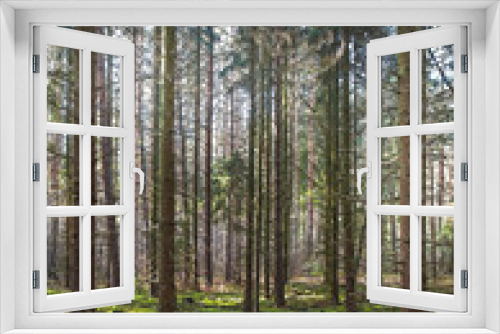 Fototapeta Naklejka Na Ścianę Okno 3D - Blick in den Wald