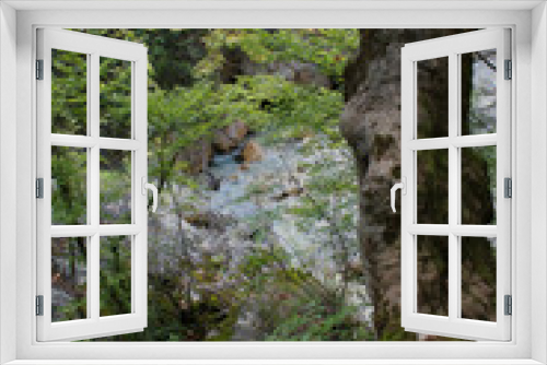 Fototapeta Naklejka Na Ścianę Okno 3D - Dense Forest next to the Pozar Thermal Baths Aridaia Greece