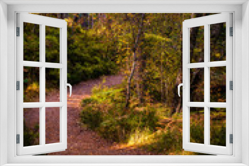 Fototapeta Naklejka Na Ścianę Okno 3D - Pathway in the woods of Glen Affric