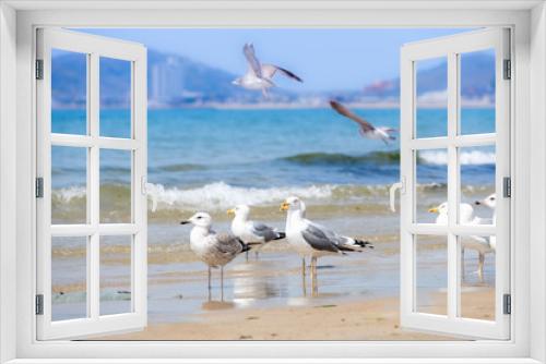 Fototapeta Naklejka Na Ścianę Okno 3D - 青空と青い海、砂浜に戯れるカモメ