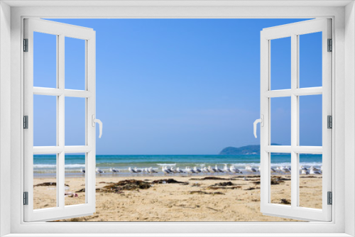 Fototapeta Naklejka Na Ścianę Okno 3D - 青空と青い海、砂浜に戯れるカモメ