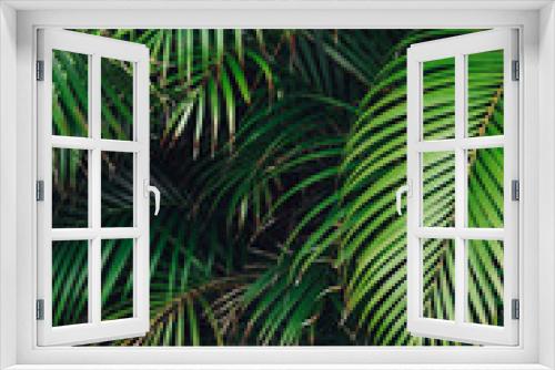 Fototapeta Naklejka Na Ścianę Okno 3D - Tropical palm leaves, floral pattern background