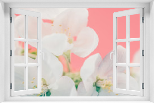 Fototapeta Naklejka Na Ścianę Okno 3D - Apple blossoms over blurred color background