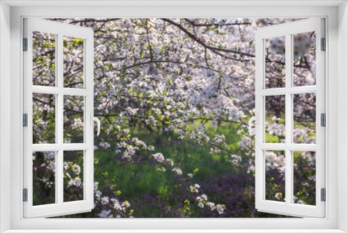 Fototapeta Naklejka Na Ścianę Okno 3D - Spring landscape with flowering trees, meadow and country road