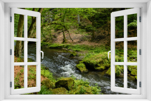 Fototapeta Naklejka Na Ścianę Okno 3D - Forest creek, Bohemian Switzerland National Park, Czech Republic