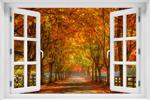 Fototapeta Naklejka Na Ścianę Okno 3D - Autumn In The Park