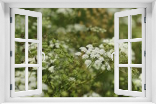 Fototapeta Naklejka Na Ścianę Okno 3D - Primavera