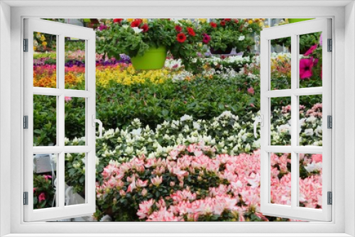 Fototapeta Naklejka Na Ścianę Okno 3D - greenhouse with sale of plants and flowers