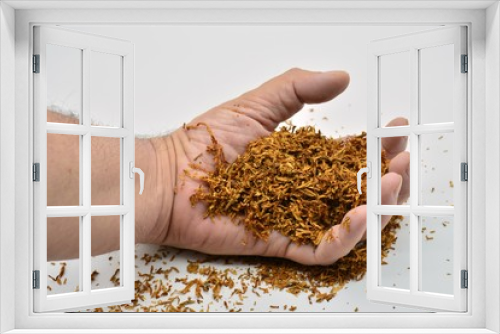 Fototapeta Naklejka Na Ścianę Okno 3D - Mano sujetando un puñado de tabaco de liar
