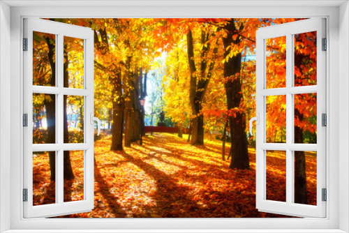 Fototapeta Naklejka Na Ścianę Okno 3D - Autumn scene. Bright colorful landscape yellow trees in autumn park. Fall