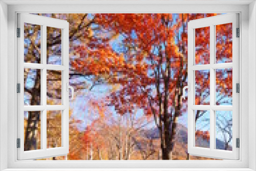 Fototapeta Naklejka Na Ścianę Okno 3D - Highland Lake Autumn leaves