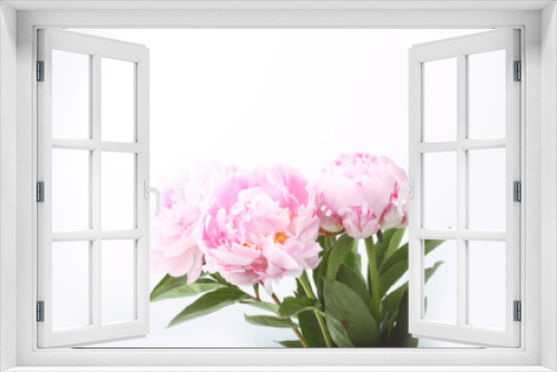 Fototapeta Naklejka Na Ścianę Okno 3D - Modern card on colorful backdrop. Summer concept. Spring floral background. Bright pastel background. Romantic card. Floral decoration. Natural beauty. Spring blossom background. Modern art.