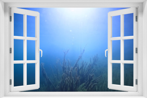 Fototapeta Naklejka Na Ścianę Okno 3D - lake underwater landscape abstract / blue transparent water, eco nature protection underwater