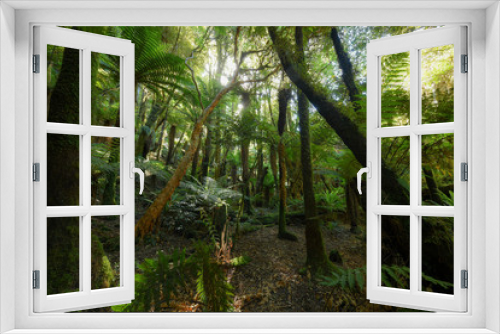 Fototapeta Naklejka Na Ścianę Okno 3D - McLean Falls Walk New Zealand