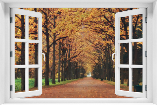 Fototapeta Naklejka Na Ścianę Okno 3D - autumn landscape / yellow trees in autumn park, bright orange forest