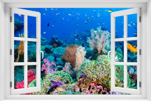 Fototapeta Naklejka Na Ścianę Okno 3D - Colorful tropical fish on a coral reef in the Andaman Sea