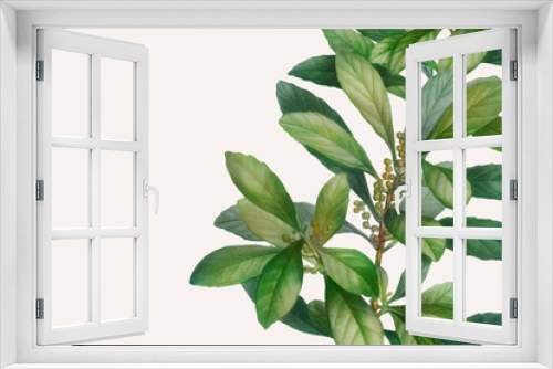 Fototapeta Naklejka Na Ścianę Okno 3D - Botanical themed design space