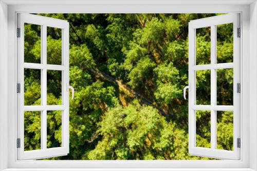 Fototapeta Naklejka Na Ścianę Okno 3D - Aerial view from the drone of environmentally friendly foliage forest with a dirt road on a summer sunny day. Top view