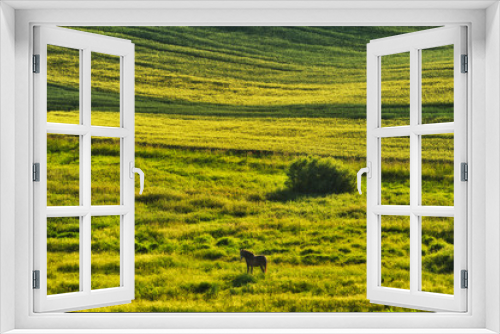 Fototapeta Naklejka Na Ścianę Okno 3D - hilly field. picturesque hills. abstract spring field
