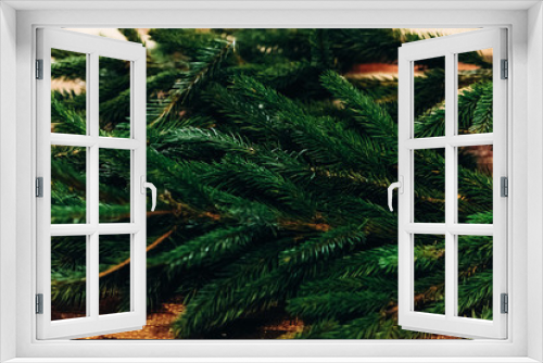 Fototapeta Naklejka Na Ścianę Okno 3D - green fir branches. decorating christmas tree in room. home preparation. rustic concept