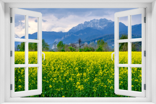 Fototapeta Naklejka Na Ścianę Okno 3D - Paesaggio primaverile