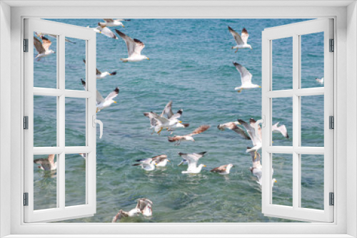 Fototapeta Naklejka Na Ścianę Okno 3D - Seagulls Flying Over Sea On Sunny Day