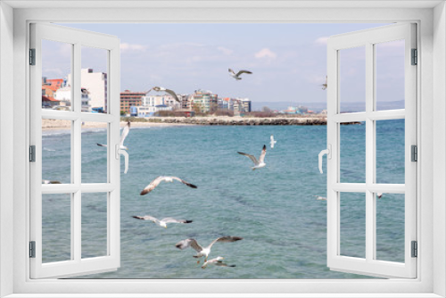 Fototapeta Naklejka Na Ścianę Okno 3D - Seagulls Flying Over Sea On Sunny Day