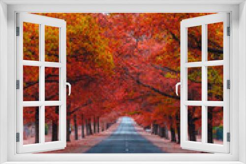Fototapeta Naklejka Na Ścianę Okno 3D - Beautiful Trees in Autumn Lining Streets of Town