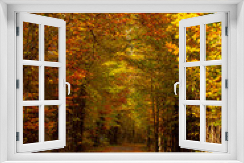 Fototapeta Naklejka Na Ścianę Okno 3D - Romantischer Spazierweg in einem dichten Herbstwald