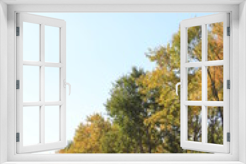 Fototapeta Naklejka Na Ścianę Okno 3D - tree in autumn