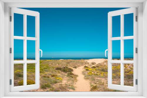 Fototapeta Naklejka Na Ścianę Okno 3D - Sand trail between bushes and desert vegetation. Arid scenery. Mediterranean dry landscape and Turquoise  water beach