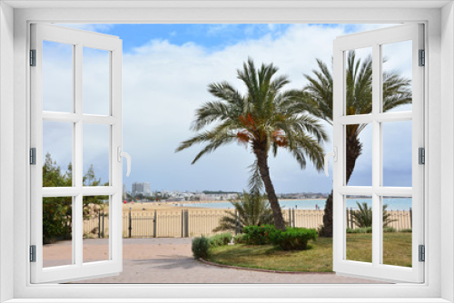 Fototapeta Naklejka Na Ścianę Okno 3D - palmy i plaża w Agadir, Maroko