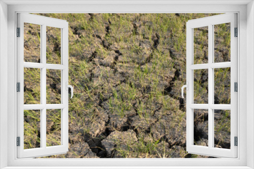 Fototapeta Naklejka Na Ścianę Okno 3D - texture of dry soil