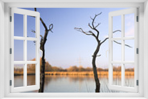 Fototapeta Naklejka Na Ścianę Okno 3D - Lake With Dead Trees