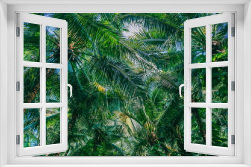 Fototapeta Naklejka Na Ścianę Okno 3D - Beautiful outdoor nature with coconut palm tree and leaf on blue sky