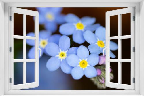 Fototapeta Naklejka Na Ścianę Okno 3D - Pretty Blue Bluebell Flowers in a Garden